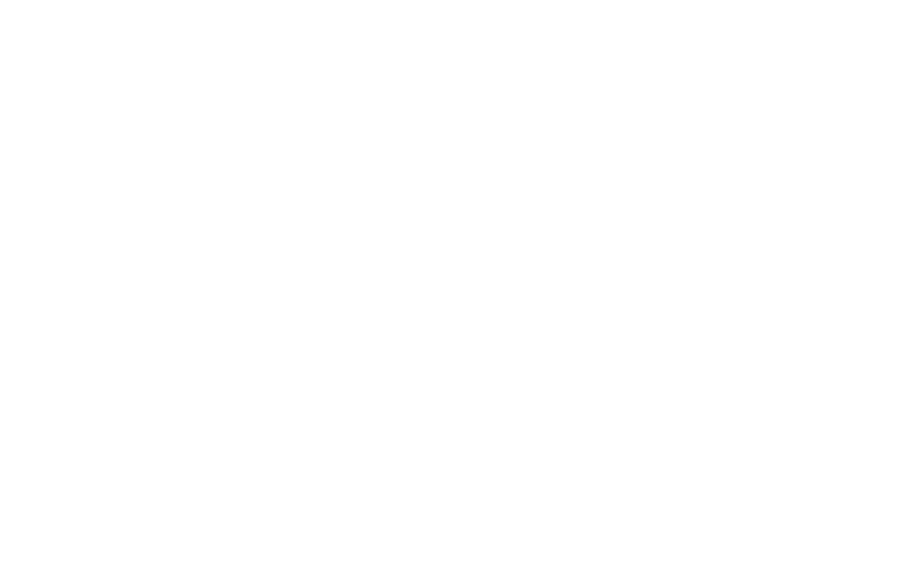 het dinghuis logo